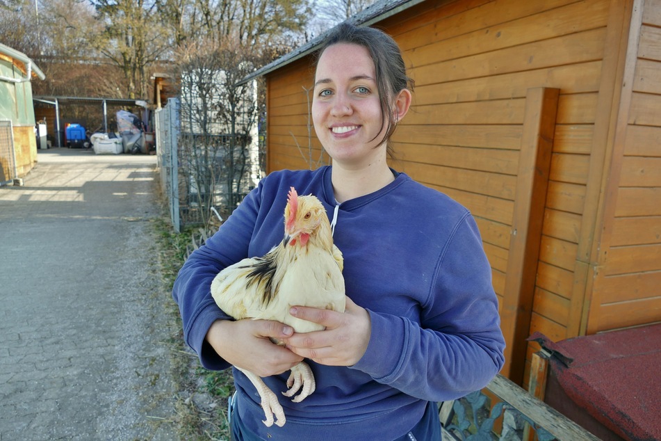 Tierpflegerin Eva Koppe (24) mit dem geretteten Hahn. Im Tierheim soll sich der Vogel von seinen Strapazen erholen.
