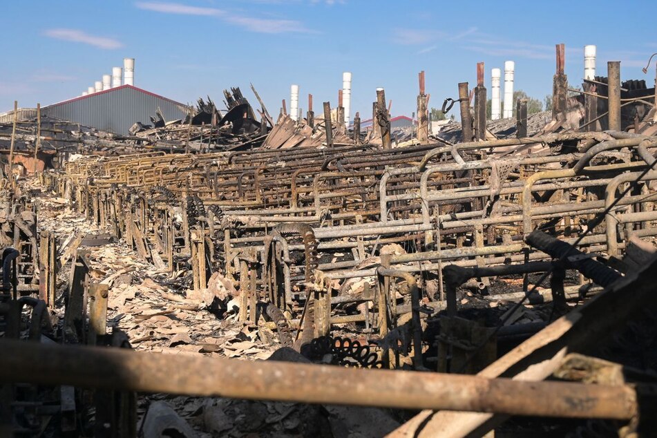 Von den Ställen blieb nach dem Feuer nicht mehr viel übrig.