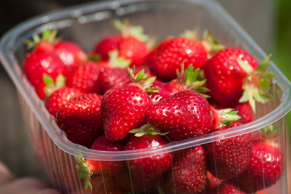 Die Behörden warnten zunächst die Käufer der Erdbeeren, da sie davon ausgingen, dass die Früchte zum Tod des Jungen geführt hatten. (Symbolbild)