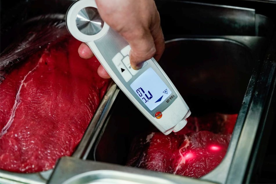 Bei einer Lebensmittelkontrolle werden unter anderem Fleisch mittels eines Thermometers geprüft. (Symbolfoto)