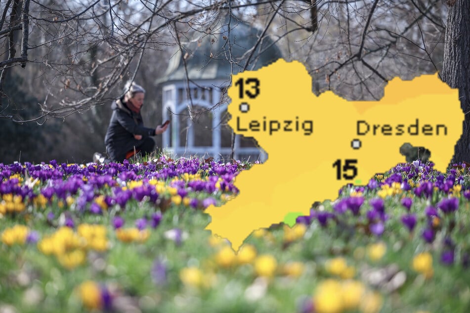 Frühlingsgefühle in Sachsen: Bis zu 16 Grad sind drin!