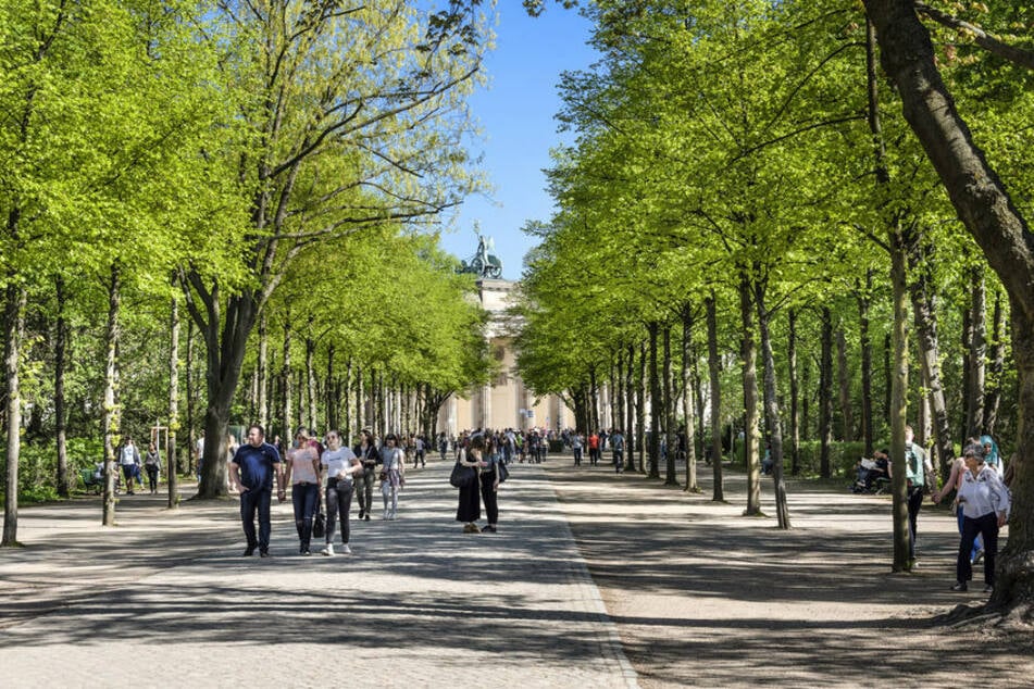 Mit Parks, Wäldern und Seen wirbt Berlin um Touristen. (Symbolbild)