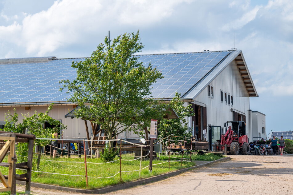 In der großen Reithalle des Reit- und Sporthotels Eibenstock fand der Auftakt des Filmfestivals "Moviequidi" statt.