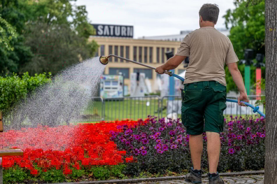 Im zentralen Stadthallenpark geben sich die Mitarbeiter des Grünflächenamts viel Mühe.