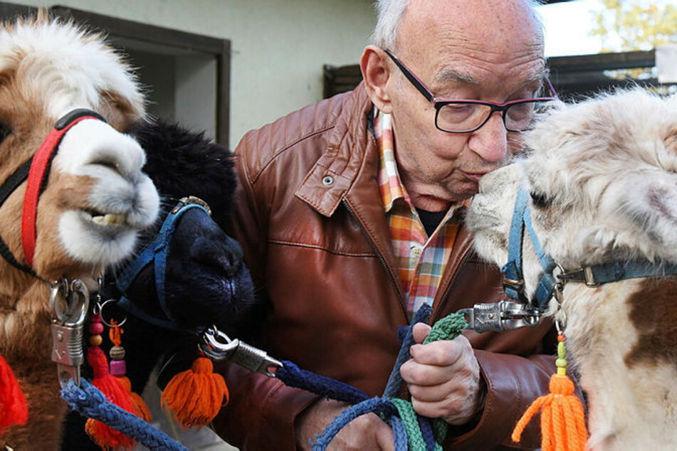 Küsschen zur Begrüßung - Bernd Düsel besucht seine tierischen Freunde seit 15 Jahren jeden Freitag im Tierpark.
