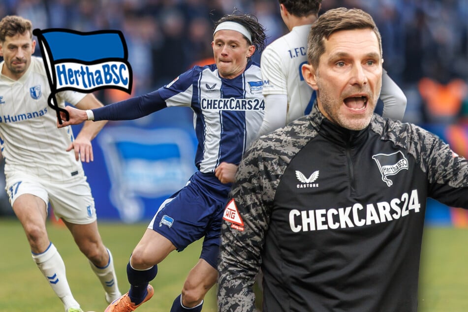 Hertha BSC: Zurück in die Erfolgsspur oder nächster Aufstiegsdämpfer