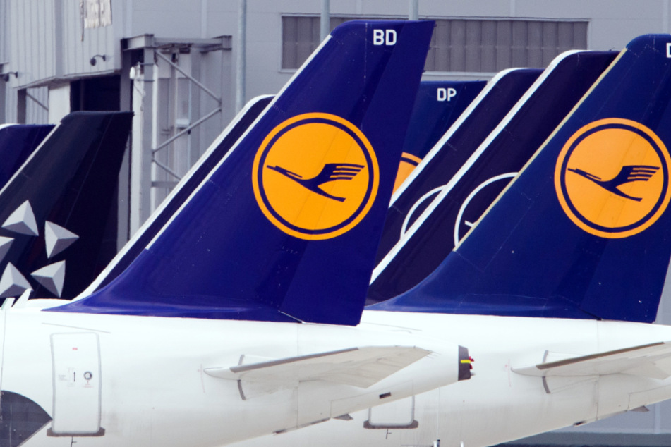 Flugzeuge der Fluggesellschaft Lufthansa stehen am Rand des Rollfeldes nebeneinander.