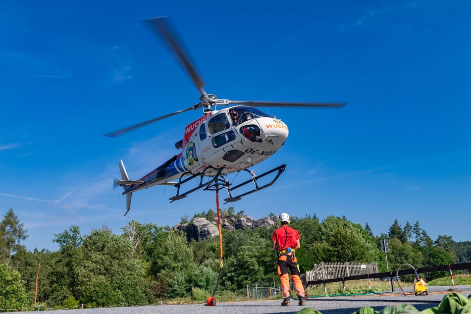 Der schnelle Abtransport der Bäume aus dem Wald soll auch die Ausbreitung des Borkenkäfers verhindern.