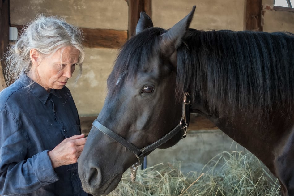 Iris Berben (74) spielt eine der Hauptrollen in "Altes Land".