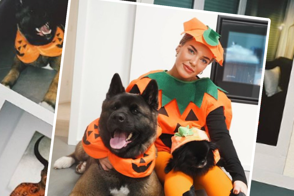 Laura Maria Rypa zeigt uns ihr Halloween-Kostüm: Es gleicht dem der Hunde
