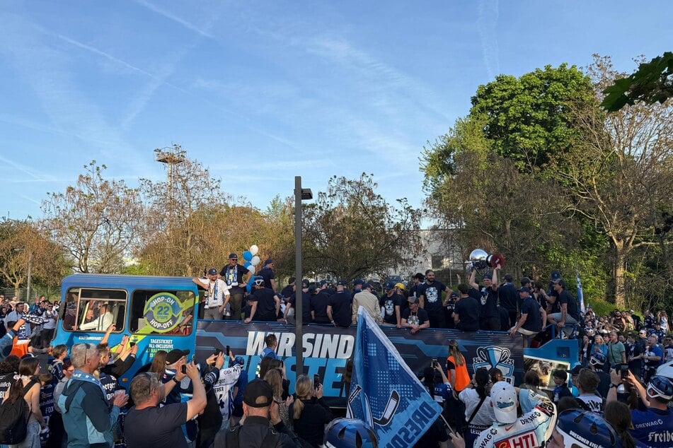 Die Partylöwen sind am Löwenkäfig eingetroffen.
