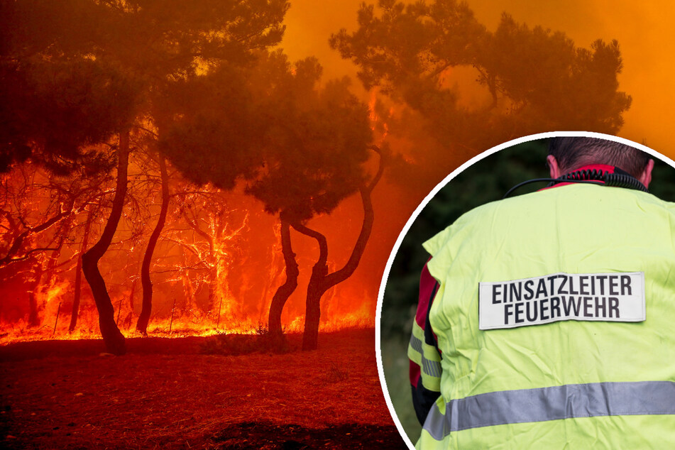 "Verheerenden Waldbrände": Katastrophenschutz aus Bayern hilft in Griechenland