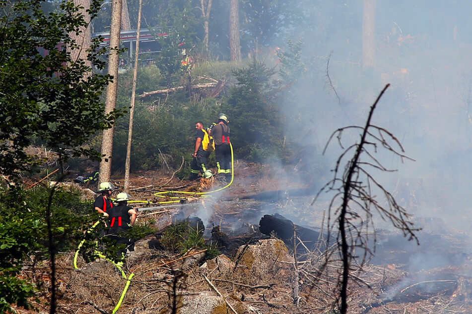 Einsatzkräfte der Feuerwehr löschen einen Waldbrand in Unterfranken. Auch in den kommenden Tagen soll es hier keine Entspannung geben.