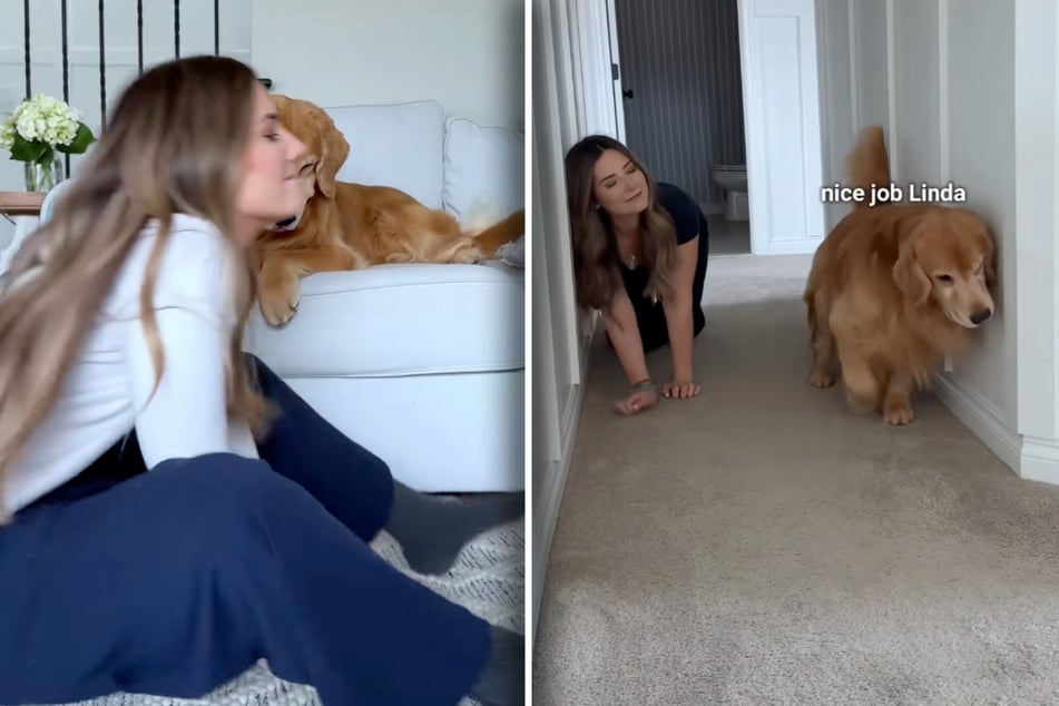 Robben so nicht nur Hunde über den Boden? Tucker ist zufrieden mit "Linda", sie reibt sich genauso an der Wand wie er.