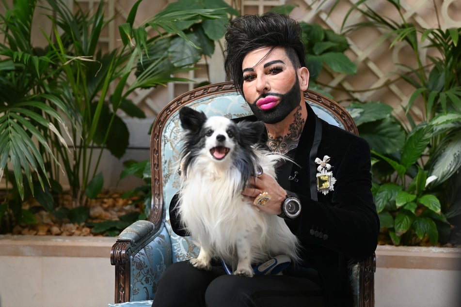 Harald Glööckler (60) teilt aktuell sein Bett und Leben nur mit seinem Papillon-Rüden Ikarus. (Archivfoto)