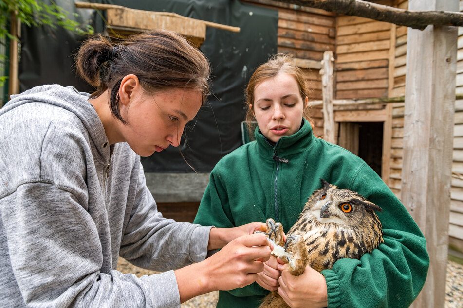 Maria K. (r.) und Lara P. (beide 19) halten zu zweit die Stellung auf der Wildvogelauffangstation.
