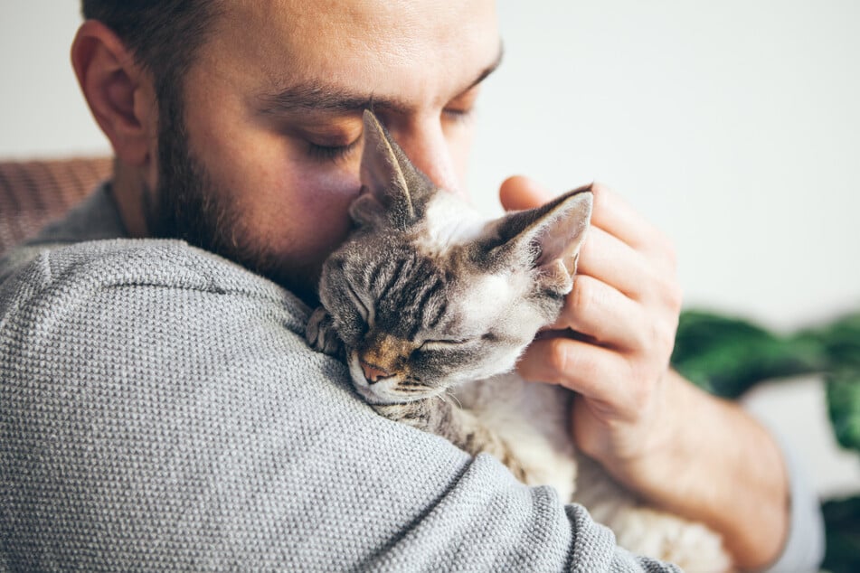 Eine enge Bindung zur Katze ist wichtig für den Wohlfühlfaktor.