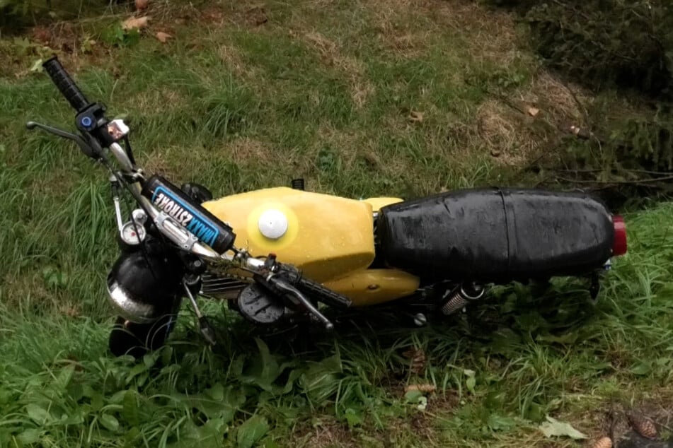 Ein Mopedfahrer hatte großes Glück! Er krachte gegen einen umstürzenden Baum und erlitt nur ein paar Schürfwunden.