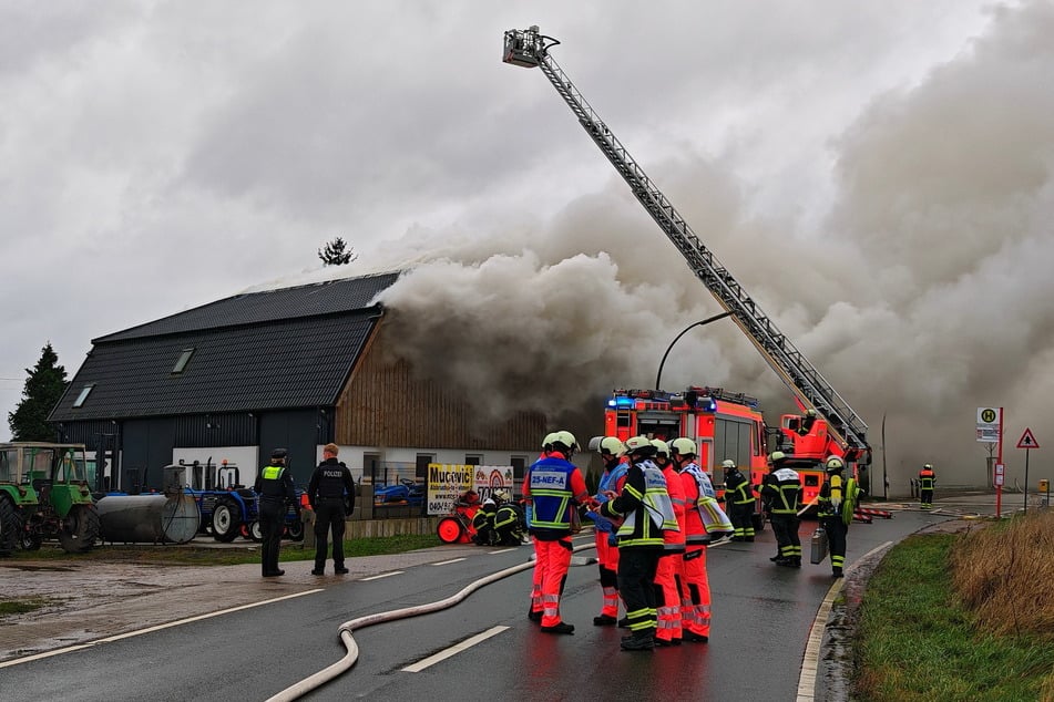 Die Feuerwehr im Einsatz in Hamburg-Reitbrook.