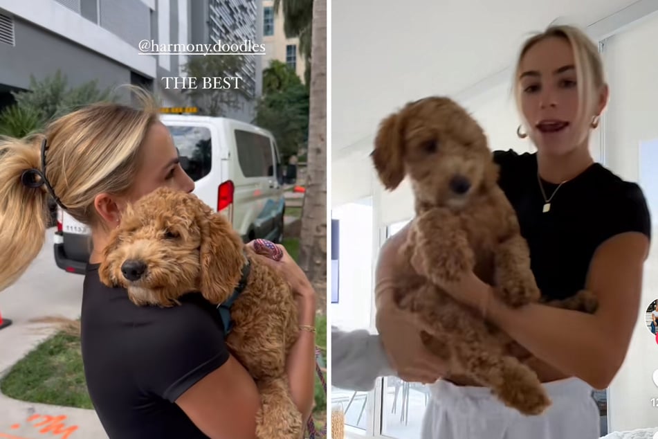 In a video that's gone viral, Hanna Cavinder shocked fans with her new boyfriend, a four-legged cutie by the name of Harvey.