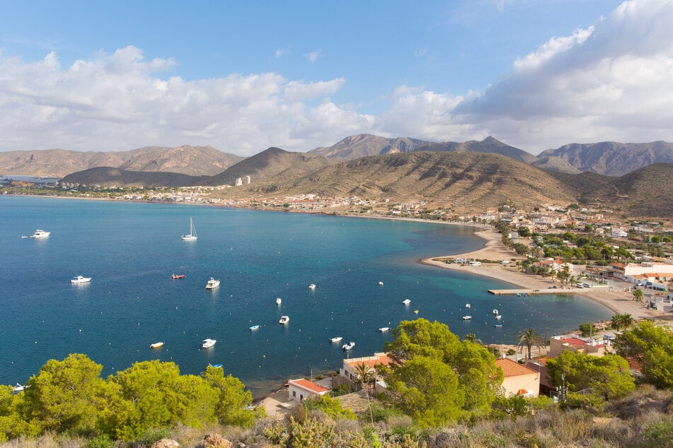 Spaziergänger entdeckten den Kadaver am Strand von Puerto de Mazzaron an der spanischen Costa Cálida.