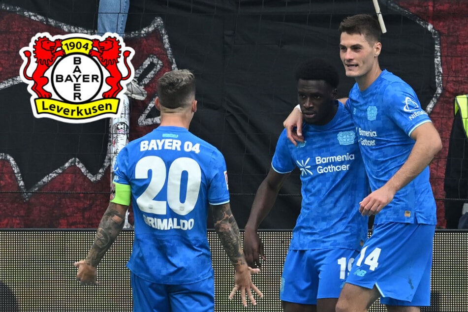 Vier Tore, vier Vorlagen: Bayer 04 von diesem Senkrechtstarter fasziniert