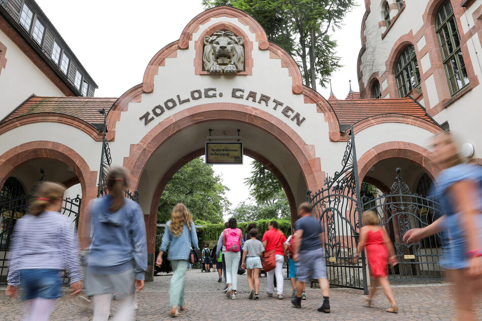 Für den Leipziger Zoo geht es wieder aufwärts. (Archivfoto)