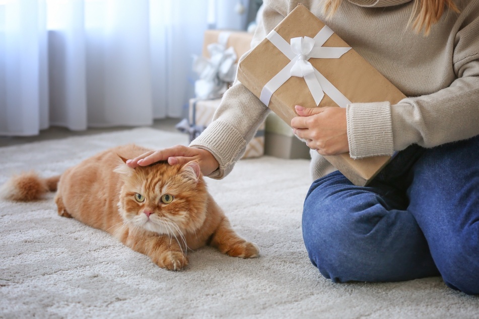 10 tolle und süße Geschenke für Katzenbesitzer