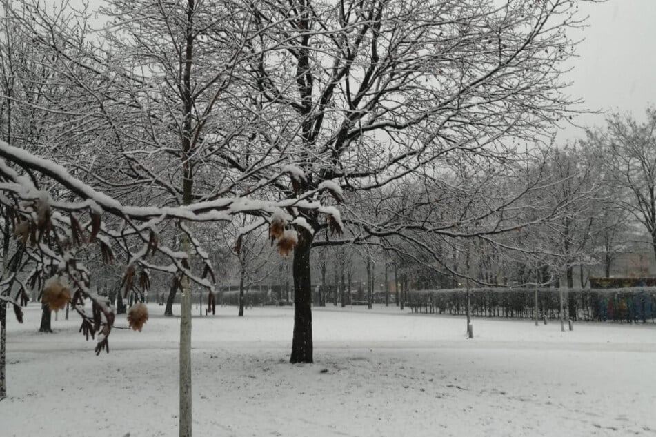 Auch Leipzig lag am Samstagmorgen unter einer dünnen Schneedecke.