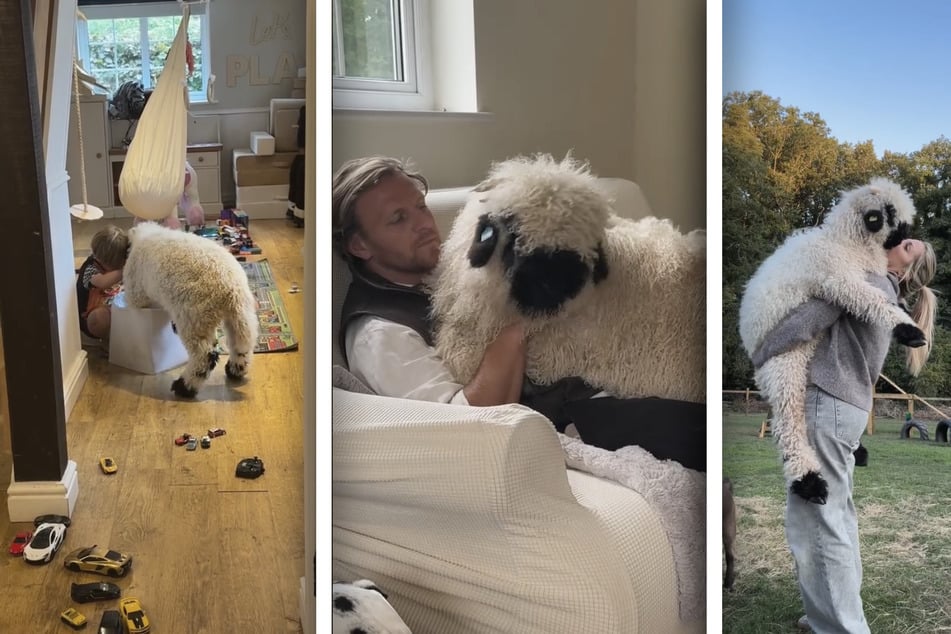 Hond of schaap? Deze schattige vachtbol erobert met haar gedrag ieders hart.