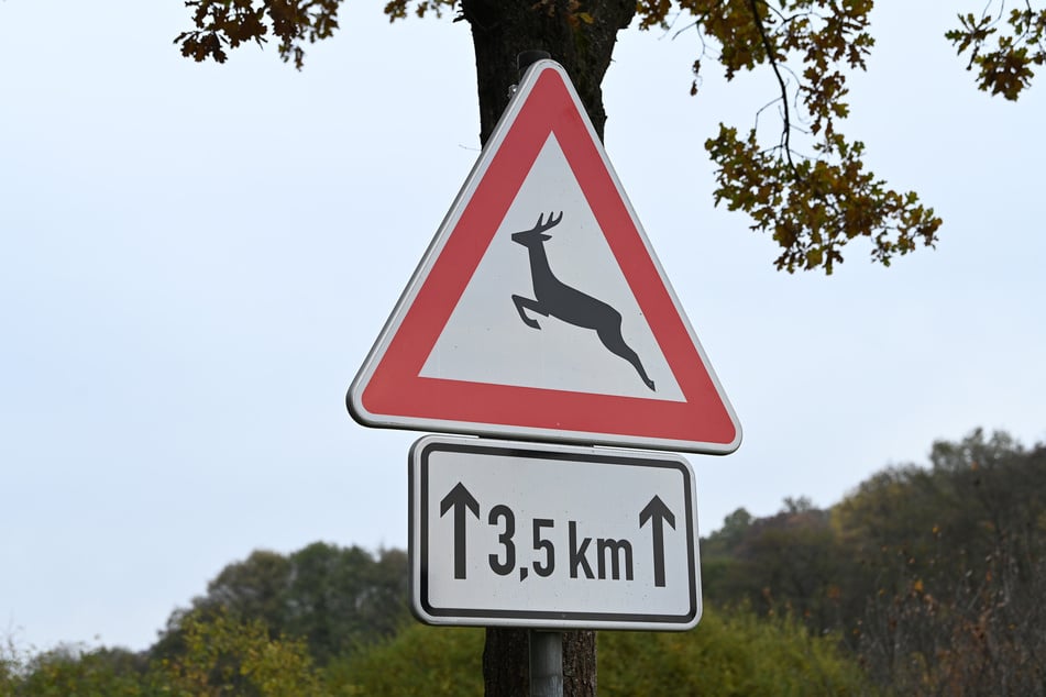 In Hessen gibt es mehrere Hotspots. (Symbolfoto)