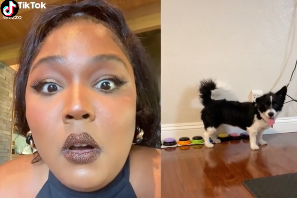 Lizzo reacts to a cute pooch named Penny saying "I love you, b****" with talking buttons.