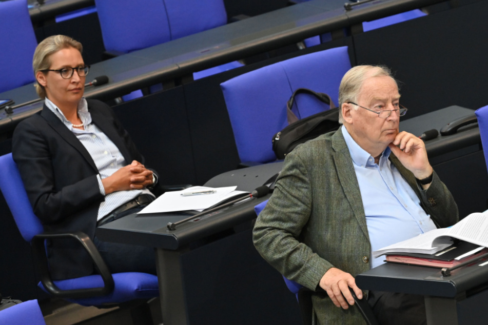 Die Vorsitzende der AfD-Bundestagsfraktion Alice Weidel (41, links) und der Co-Vorsitzende der Partei, Alexander Gauland (79).