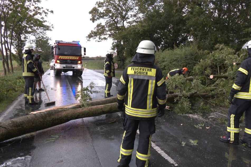 Zu zahlreichen Einsätzen musste die Feuerwehr in Niedersachsen ausrücken. Viele Bäume stürzten wegen des Unwetters auf die Straßen.