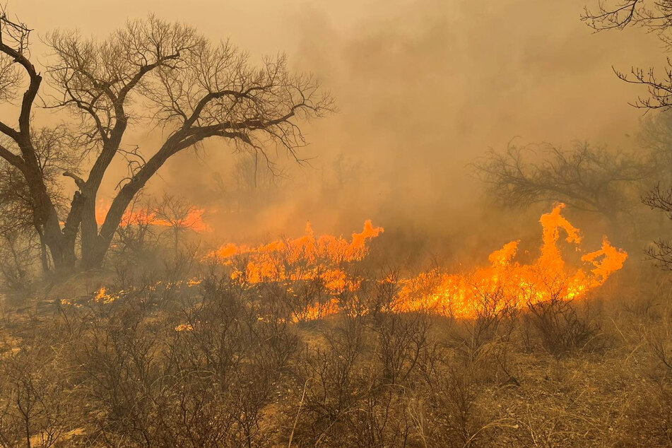 A disaster declaration has been issued for 60 counties in Texas as wildfires caused the evacuation of several towns.
