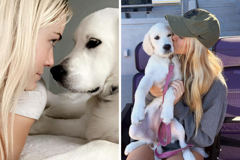 LSU gymnast Olivia Dunne once again put the spotlight on her adorable pup, Roux, in an Instagram story post that had fans swooming.