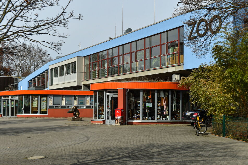 Der Dresdner Zoo hat das Geflügel schon vor Monaten in den Ställen gelassen.