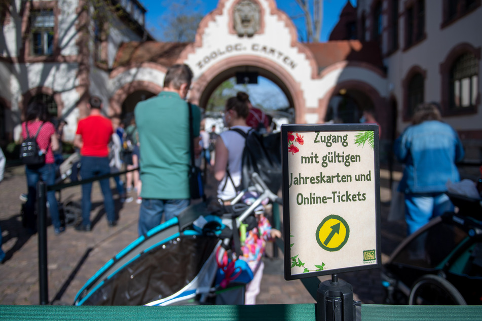 Pfingsten in Sachsen: Andrang in den Zoos voraussichtlich überschaubar