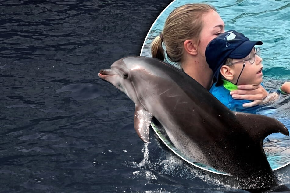 Leipzig: Happy End für kleinen Kämpfer: Henry (7) fliegt zu den Delfinen