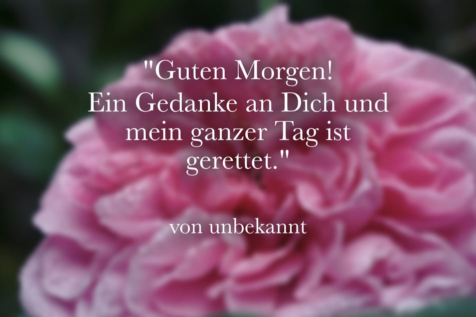 Guten Morgen! Ein Gedanke an Dich und mein ganzer Tag ist gerettet.