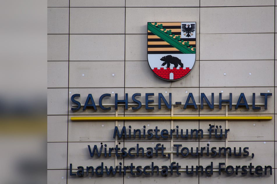 Sachsen-Anhalts Landesportal durch pro-russischen Hackerangriff lahmgelegt