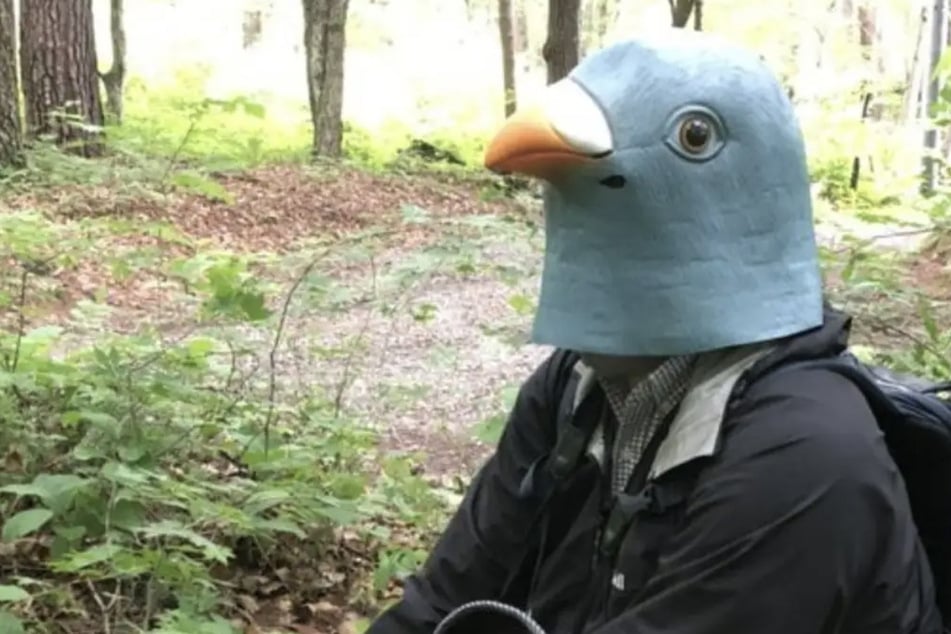 Bird researcher in Japan goes to hilarious extremes in the name of science