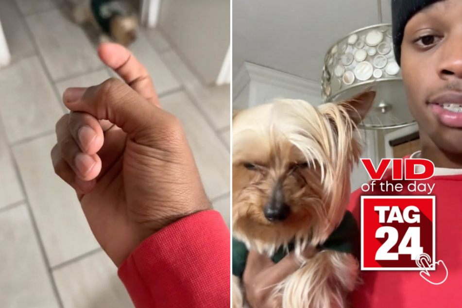 viral videos: Viral Video of the Day for January 27, 2024: DIY ski mask is no match for sock-stealing pup!