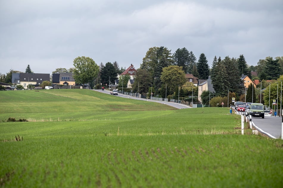 Die Walter-Klippel-Straße ist ausgebaut – doch welche Ersatzmaßnahme für die Natur umgesetzt wurde, bleibt offen.