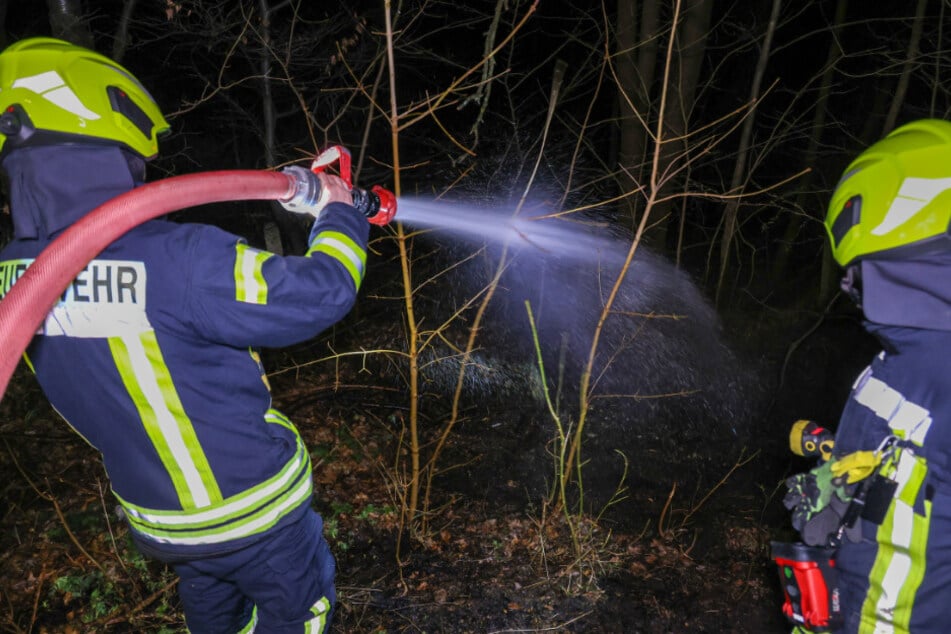 Die Feuerwehr konnte ein weiteres Ausbreiten des Feuers verhindern.