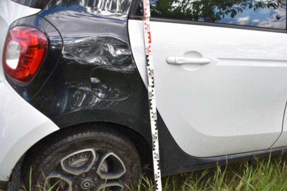 Das Pferd hinterließ am vorbeifahrenden Auto einen deutlichen Schaden.