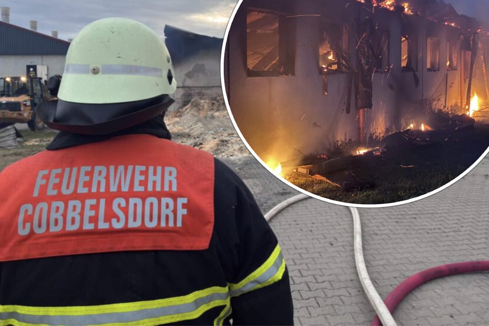 Großbrand in Mastanlage: Fünf Feuerwehrmänner verletzt, 20.000 Schweine sterben durch Feuer