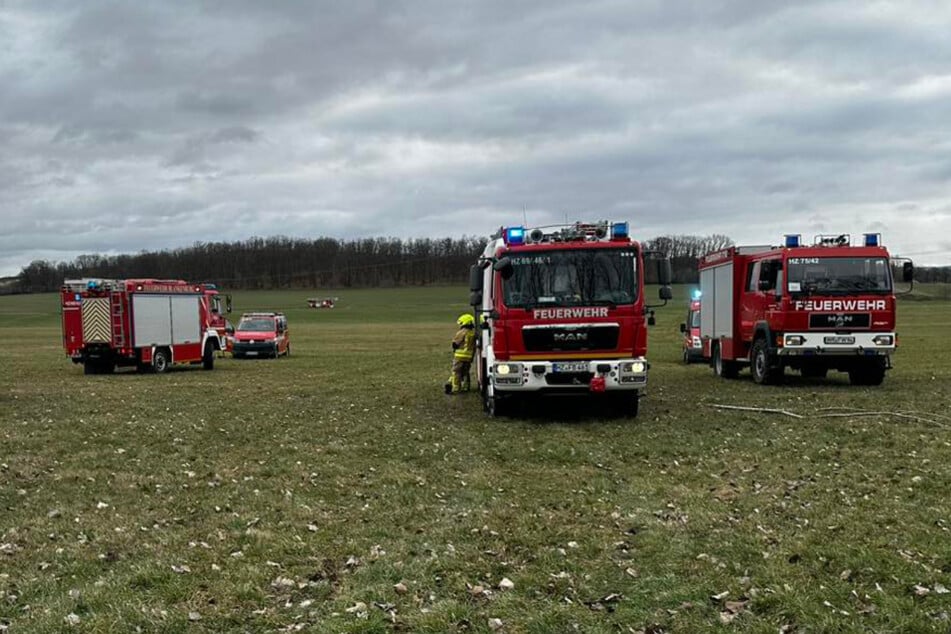 Verheerender Unfall im Harz: 32-Jähriger wird von Baum erschlagen