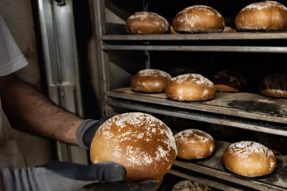 Den Bäckereien in Baden-Württemberg droht ein Fachkräftemangel. Grund sind fehlende Azubis. (Symbolbild)