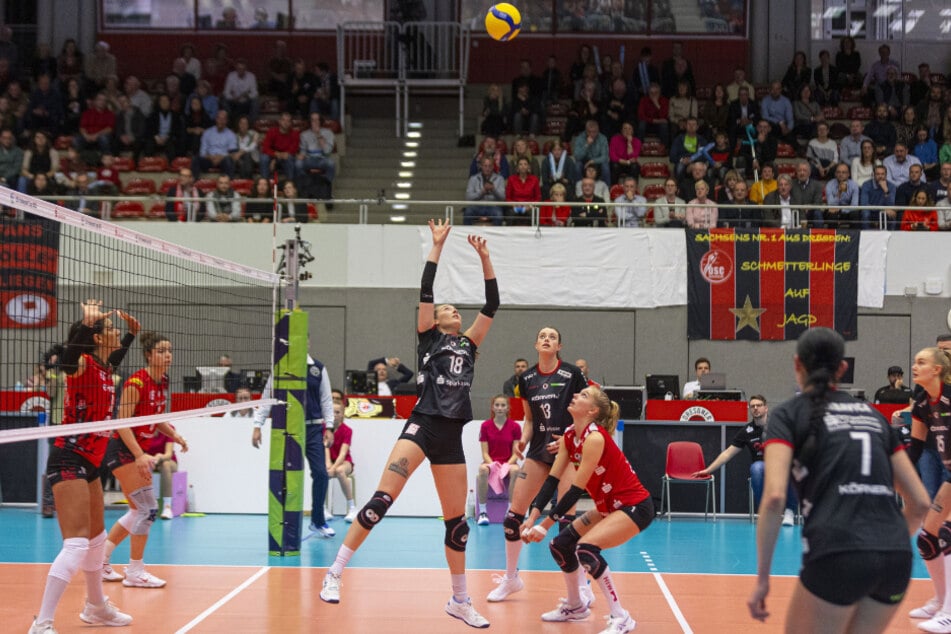 Vergangene Saison traf der DSC, hier mit Sarah Straube (21) am Ball, im CEV-Cup auf Busto Arsizio aus Italien und schied nach zwei Niederlagen (1:3 und 2:3) aus.